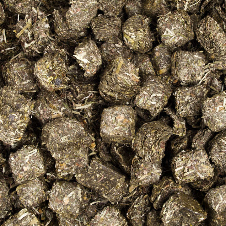 Höveler Western PUXX